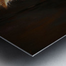 Cute Kitten Realistic Painting20 Metal print