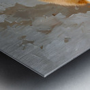 Puppy Paintings by Museblot 18 Metal print