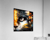 Hypnose  Acrylic Print