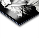 Horses 7 Acrylic print