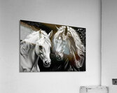 Horses 1 Acrylic Print