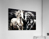 Horses 3 Acrylic Print