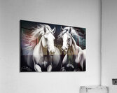 Horses 4 Acrylic Print