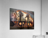 Horses 5 Acrylic Print