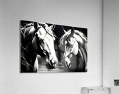 Horses 6 Acrylic Print