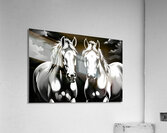 Horses 10 Acrylic Print