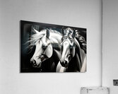 Horses 11 Acrylic Print
