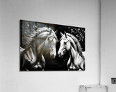 Horses 13 Acrylic Print