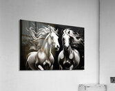 Horses 15 Acrylic Print