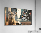 Save the street dogs 8 Acrylic Print