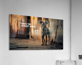 Save the street dogs 12 Acrylic Print