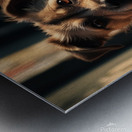 Save the street dogs 8 Metal print