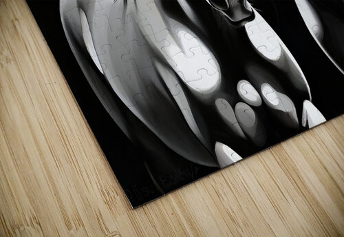 Horses 10 mohamed gaber puzzle