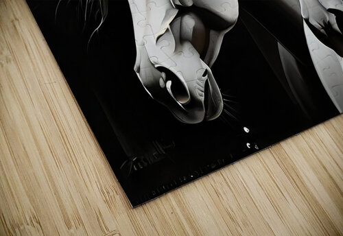 Horses 11 mohamed gaber puzzle