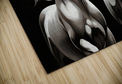 Horses 15 mohamed gaber puzzle