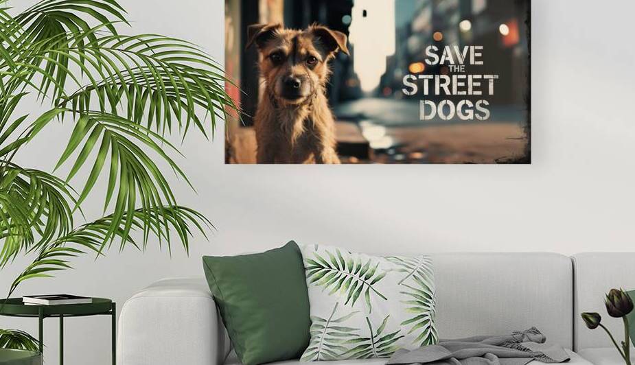 Save the street dogs 8 by mohamed gaber