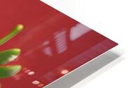 Strawberry HD Metal print