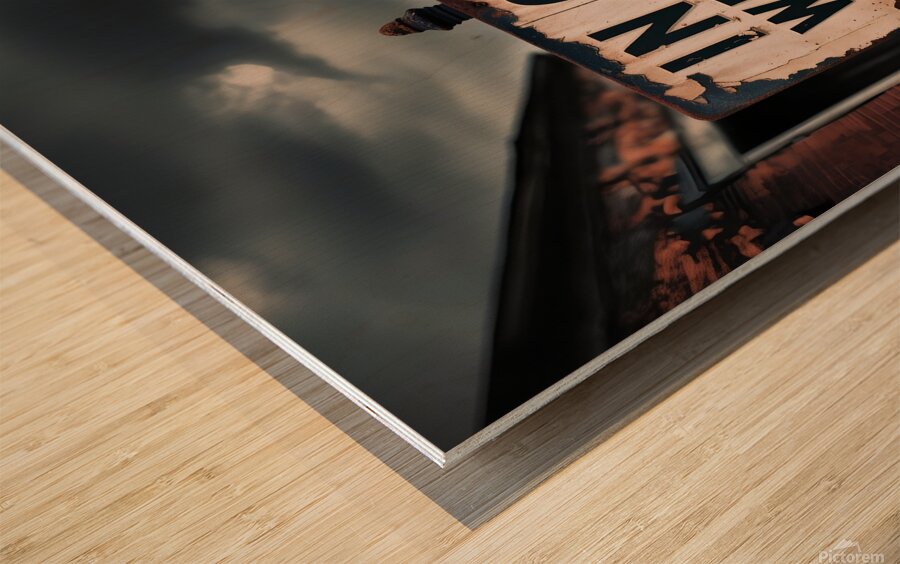 in god we trust Wood print
