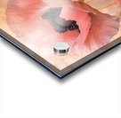 Pink Acrylic print