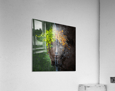 Metomorphosis Acrylic Print