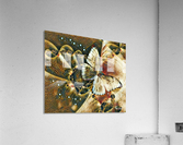 Butterfly Acrylic Print