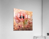 Pink Acrylic Print