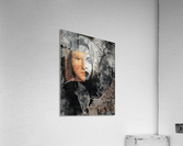 Story Acrylic Print