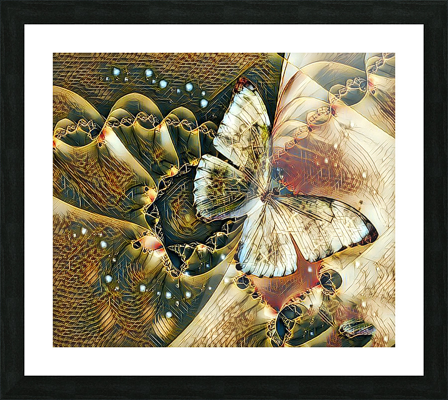 Butterfly Picture Frame print