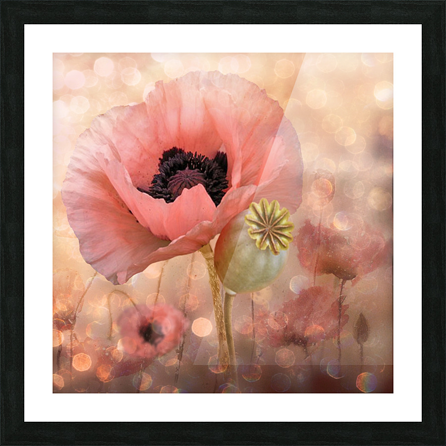 Pink Picture Frame print
