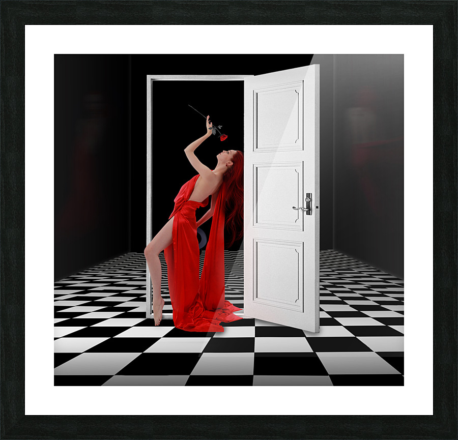 Illusion Picture Frame print