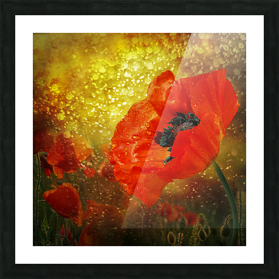 After the rain Picture Frame print