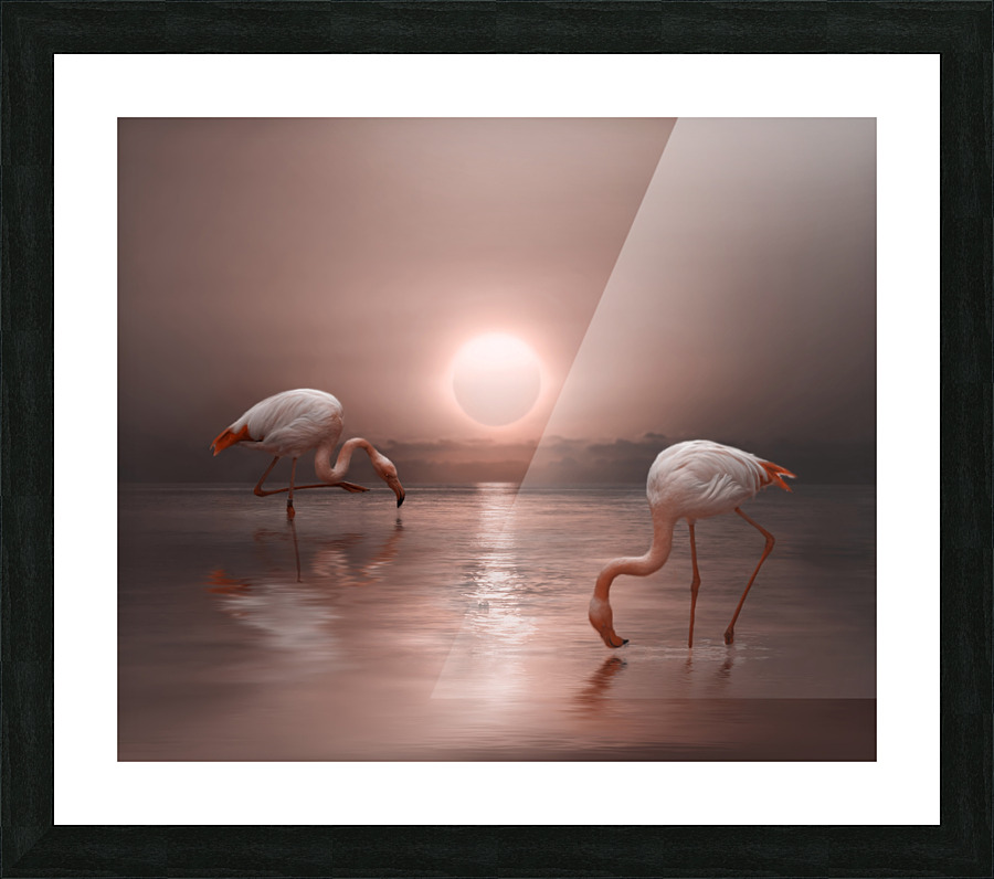 Flamingo Picture Frame print