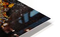 Metomorphosis HD Metal print