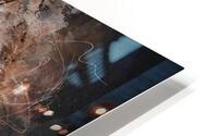 Pandemie HD Metal print