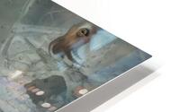 Integration HD Metal print