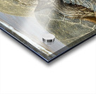 Turtle Couple Acrylic print