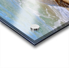 Maui Sea Turtle 1 Acrylic print