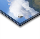 Maui Coast Acrylic print