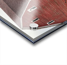 Americana Acrylic print