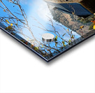 Dunford Barn 1 Acrylic print