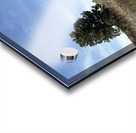 Colfax Barn 4 Acrylic print