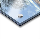 Farmhouse Decay - vertical Acrylic print