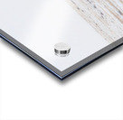 Still Standing Acrylic print