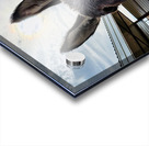 Lolita Acrylic print