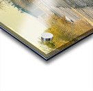 Donkey on my street Acrylic print