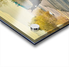 Topock Donkey Acrylic print