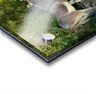 Lake Mohave Donkeys Acrylic print