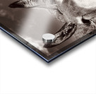 Welcome to Oatman Acrylic print