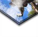 Oatman Donkey Acrylic print