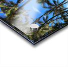 Mamas Fish House Acrylic print